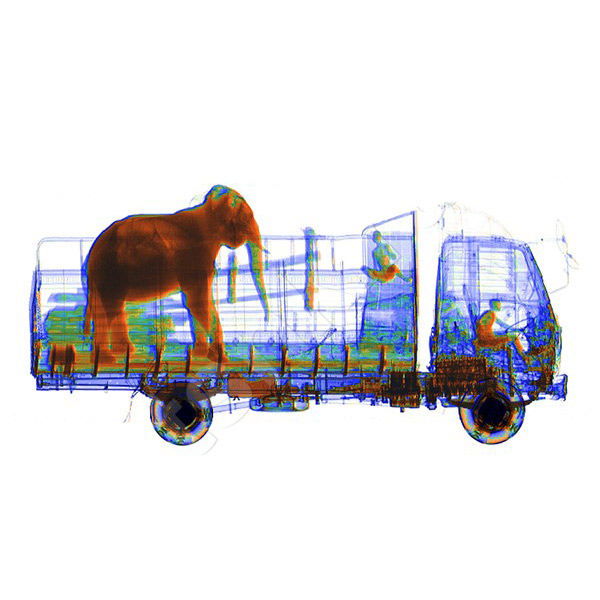 Мобильный инспекционно-досмотровый комплекс МИДК-9232