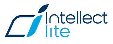 Интеллект Лайт