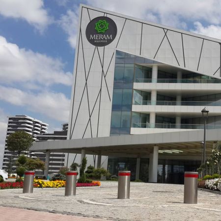 Блокиратор автоматический выдвижной Came TBD 220H500, 6 боллардов