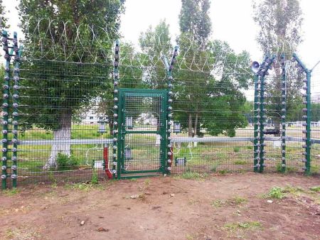 Система охраны с нелетальным электрошоковым воздействием Молния