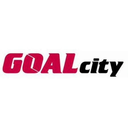 Архивный сервер СпецЛаб GOALcity