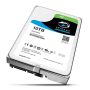Жесткий диск Seagate SkyHawk 10 ТБ ST10000VX0004