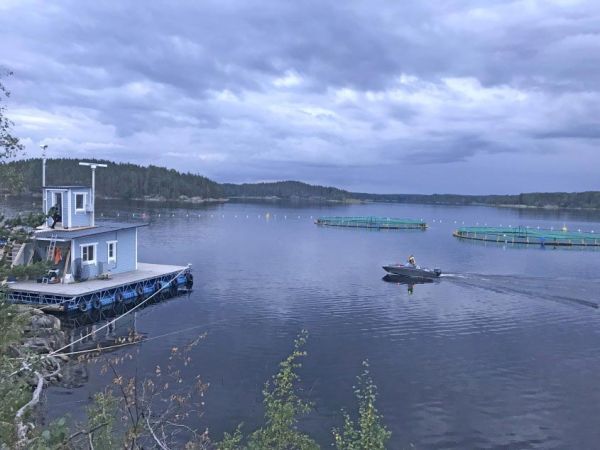 Радиолокационная система Пергам Аргус