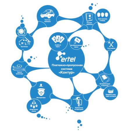 Программное обеспечение Контур, Web Мобильное приложение