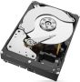 Жесткий диск Seagate SkyHawk 8 ТБ ST8000VX004