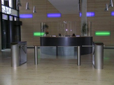 Моторизованная калитка Gotschlich Ikarus Transpa (6IKT1AEC)