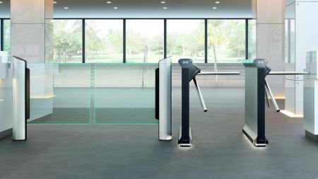 Створка из закаленного стекла Magnetic FMSW_G10E950 для калитки mSwing, 994x1000 мм