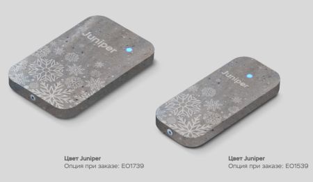 Считыватель бесконтактных карт ESMART® Reader BLE серии STONE (ER1701), с индивидуальной гравировкой, Silverite