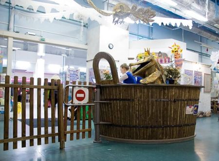 Калитка электромеханическая без привода PERCo WHD-05G (створка 900 мм) Калитка электромеханическая без привода PERCo WHD-05G (створка 900 мм)