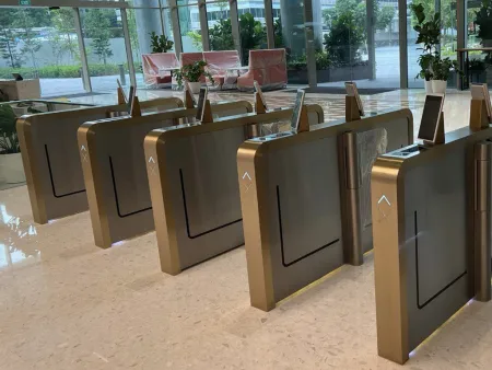 Турникет распашной Avix Aurora X (AV.SG.6629C)