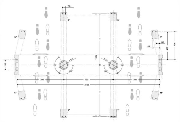 Турникет полноростовой двухпроходной Came Guardian PSGD4, уличный, из окрашенной стали