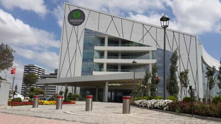 Блокиратор автоматический выдвижной Came TBD 220H800, 3 болларда