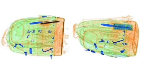 Интроскоп SDT-6550S, 3D проекционный