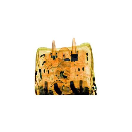 Интроскоп конвейерного типа ТС-СКАН 6575, 2-ракурсный Интроскоп конвейерного типа ТС-СКАН 6575, 2-ракурсный