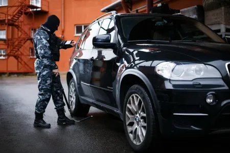 Досмотровая телевизионная система ИТТ Спрут