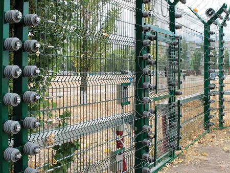 Система охраны с нелетальным электрошоковым воздействием Молния